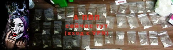 гашик Новокубанск