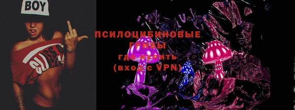 гашик Новокубанск