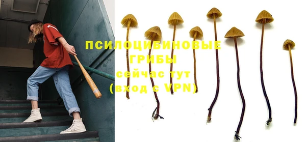 винт Новодвинск