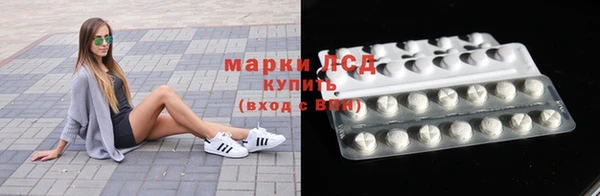 гашик Новокубанск