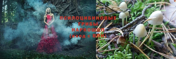 винт Новодвинск
