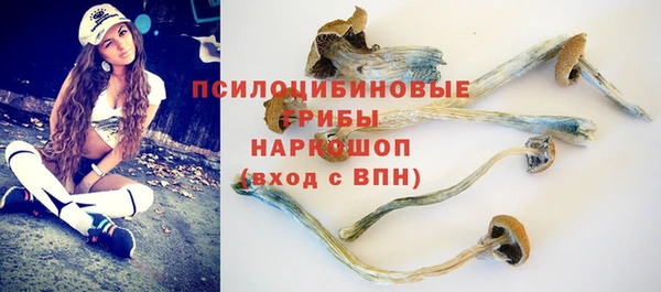 винт Новодвинск