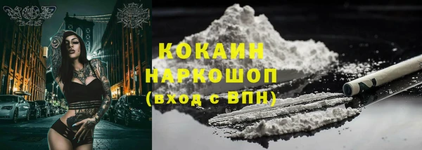 гашик Новокубанск