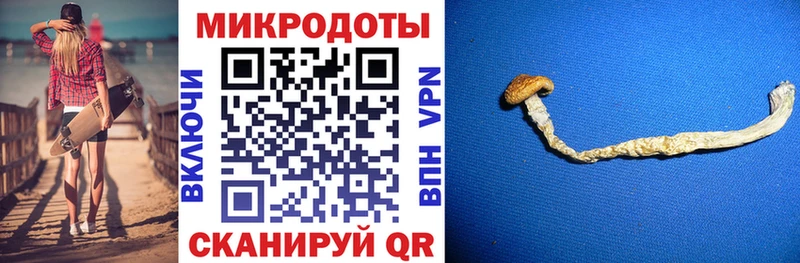 Псилоцибиновые грибы GOLDEN TEACHER  Калуга 