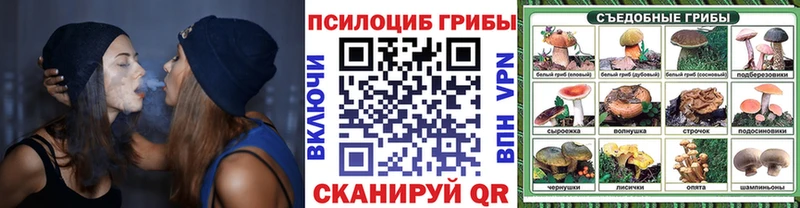Псилоцибиновые грибы мицелий Калуга