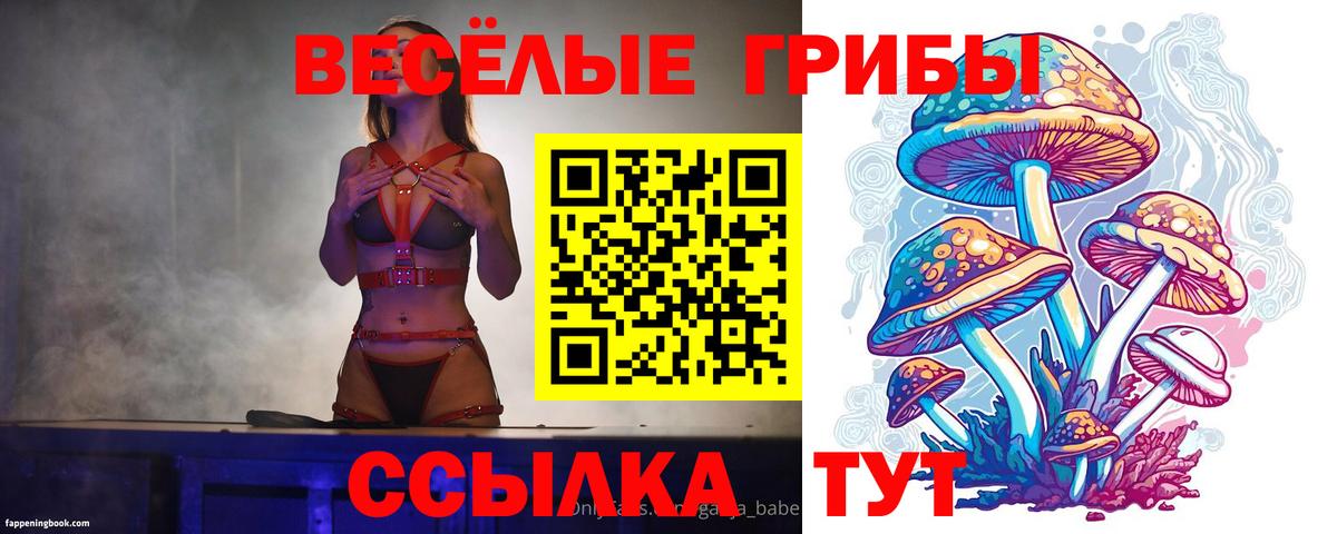 Псилоцибиновые грибы Cubensis Калуга